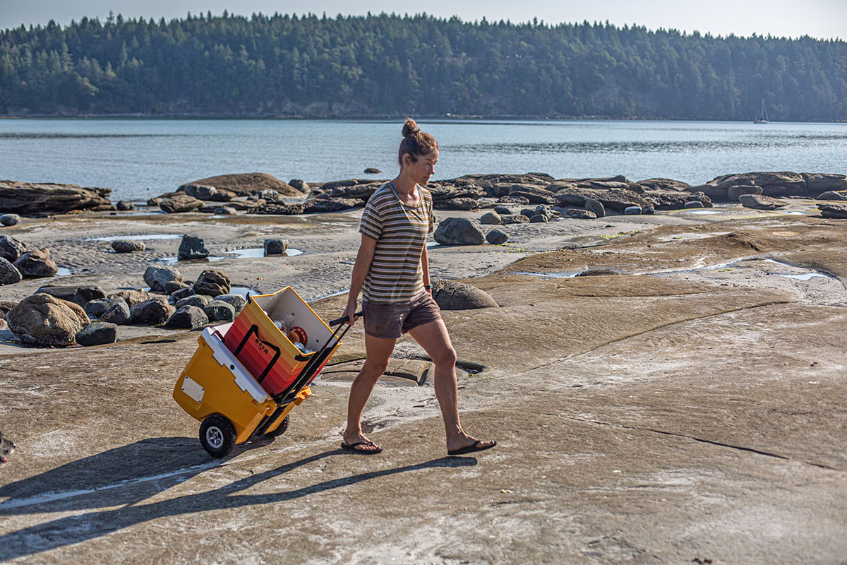 RollR RovR 45 (wheeling on beach)